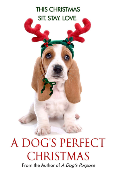 COMING TO NETFLIX NOVEMBER 4TH!